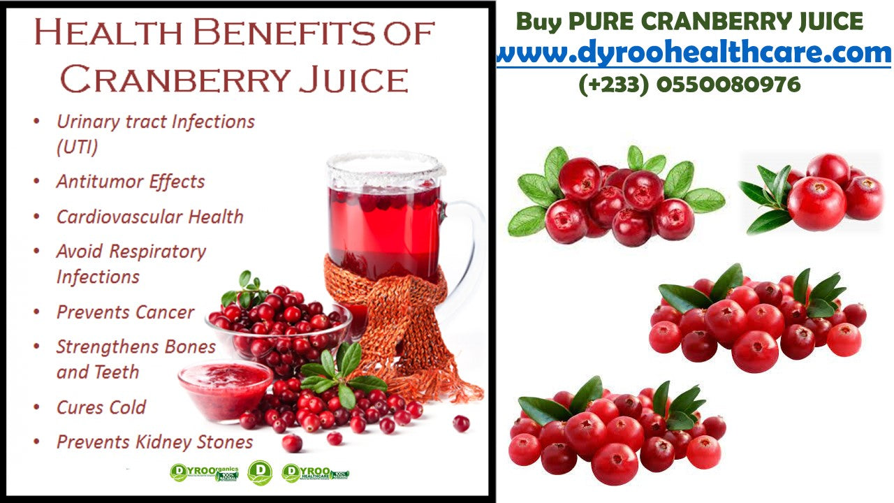 Organic dried cranberries in a bowl from Dyroo Naturals, showcasing vibrant red dried fruits on a white background.