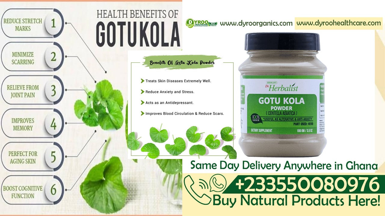 Organic Dyroo Naturals Gotu Kola powder in a 100g bag, finely ground herbal supplement for wellness and traditional herbal use.