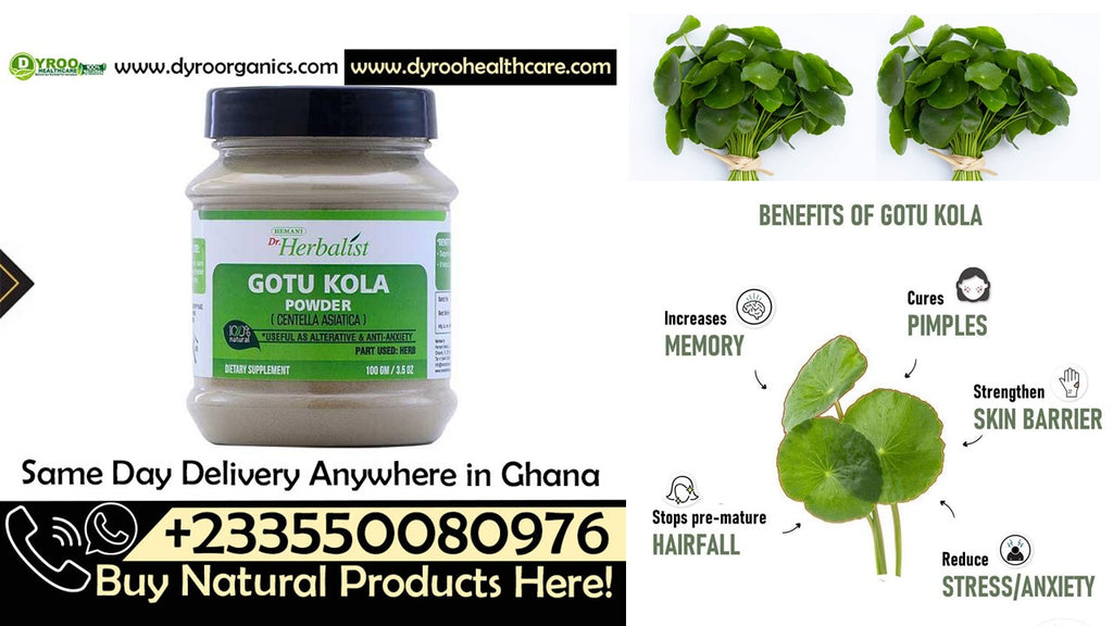 Organic Dyroo Naturals Gotu Kola Powder in a 100g package, showcasing fine green herbal powder for health and wellness.