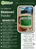 Organic Dr Herbalist Shatavari Powder by Dyroo Naturals in a 100g package, showcasing fine, herbal powder in a clear container.