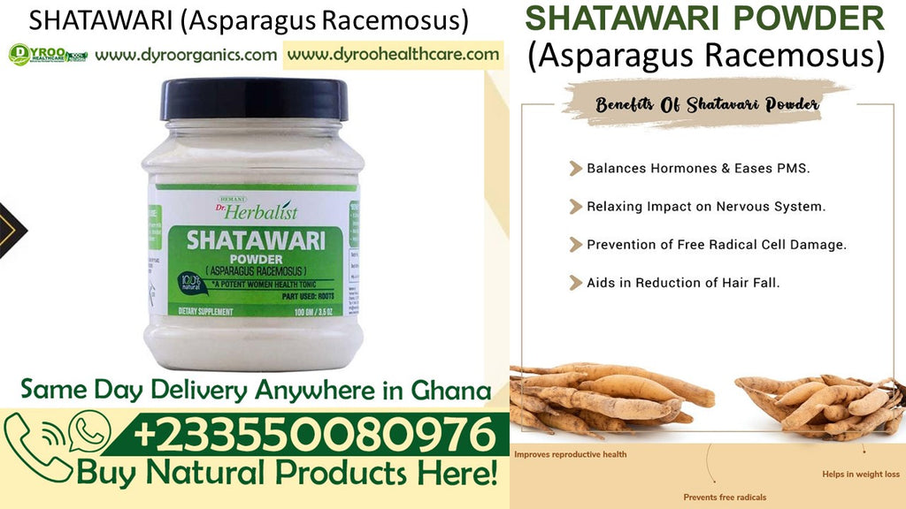 Organic Dr Herbalist Shatavari Powder by Dyroo Naturals, 100g, showing fine, light-colored powdered herb in a clear container.