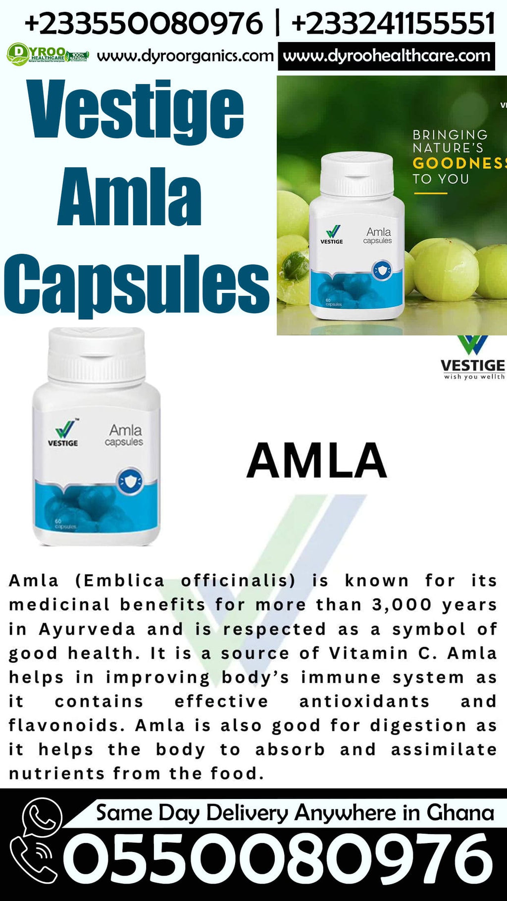 Dyroo Naturals Vestige Amla Capsules bottle with 60 capsules, showing the product packaging and label for health supplement.