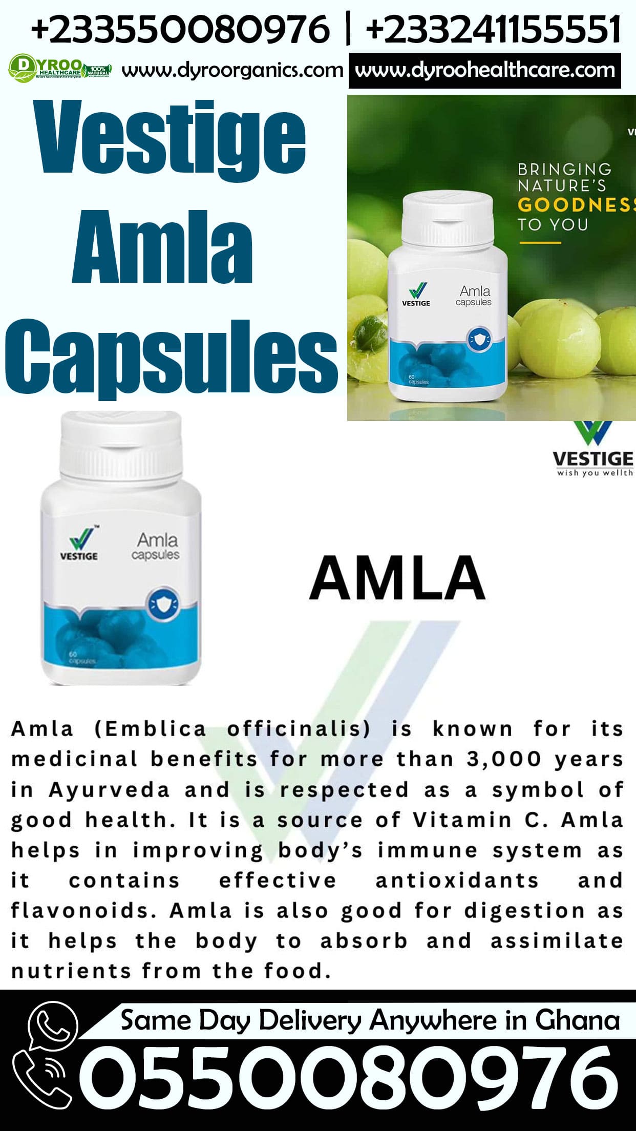 Dyroo Naturals Vestige Amla Capsules bottle with 60 capsules, showing the product packaging and label for health supplement.