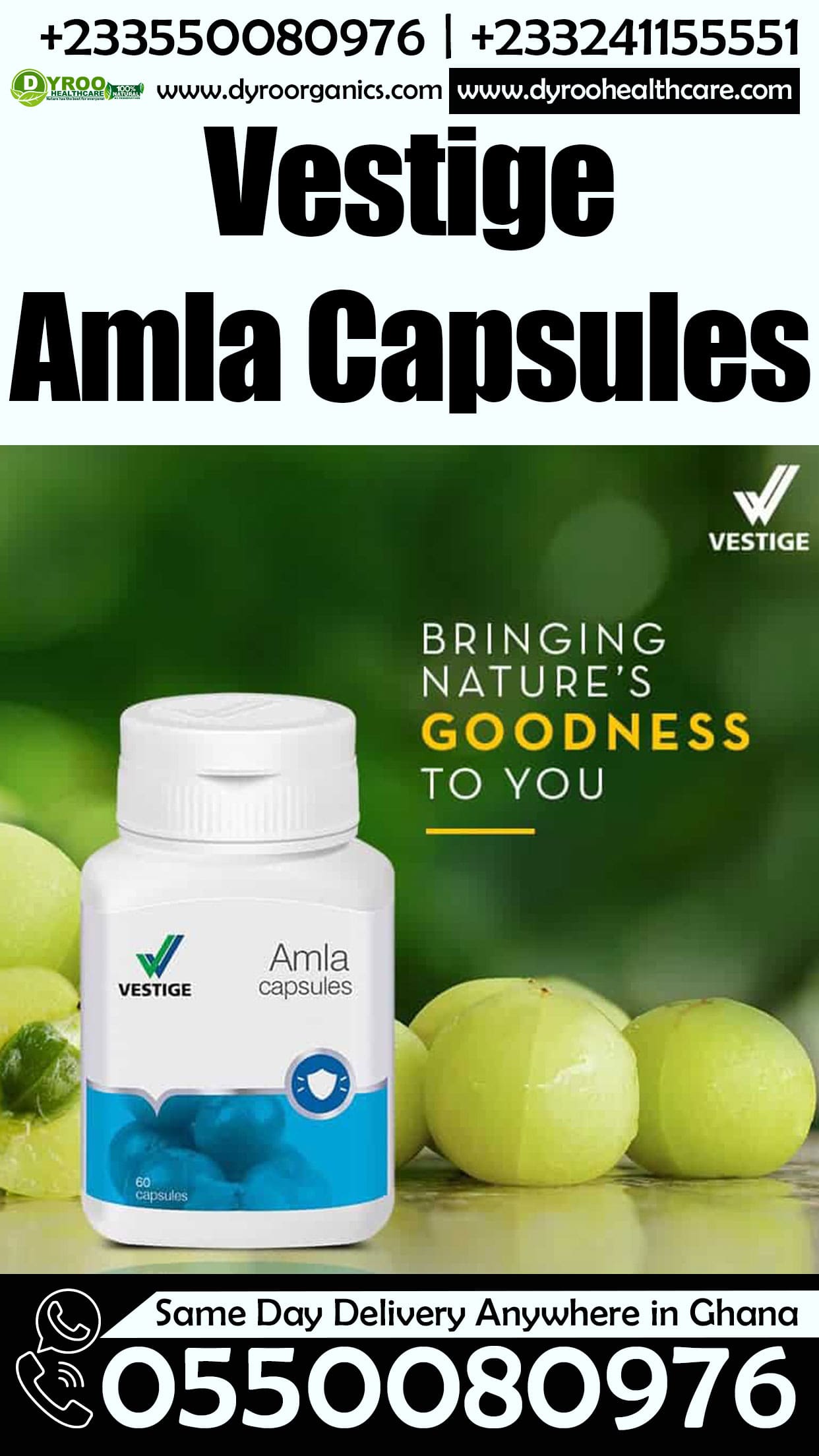 Vestige Amla Capsules Lapas