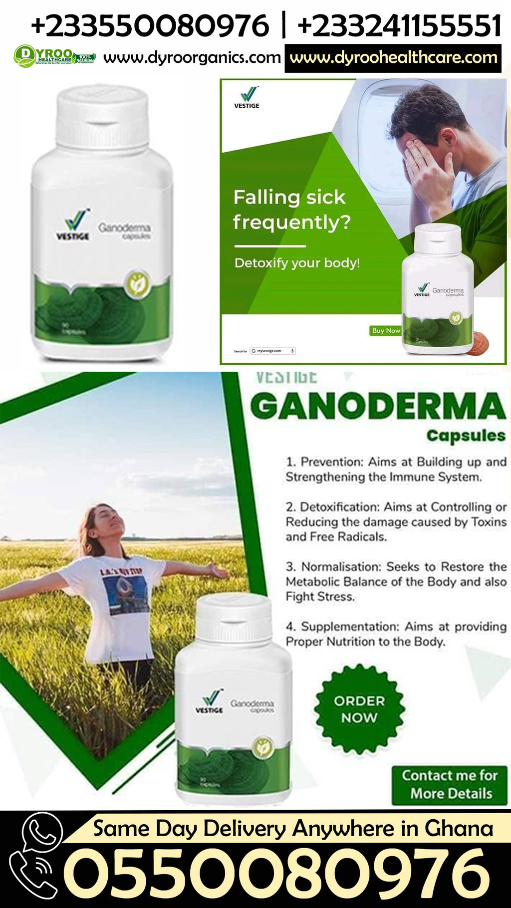 Vestige Ganoderma Capsules Takoradi