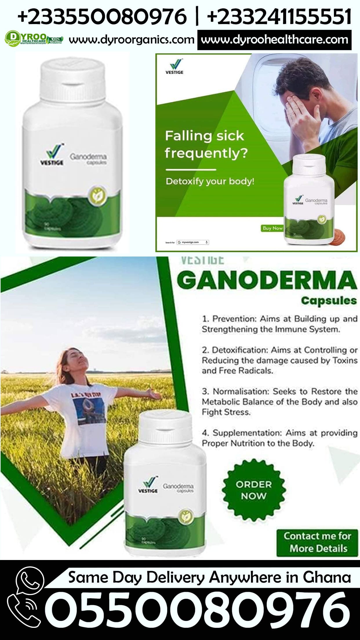 Vestige Ganoderma Capsules Tamale