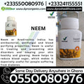 Vestige Neem Capsules