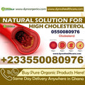 Cholesterol Natural Solution Pack - Dyroo Naturals